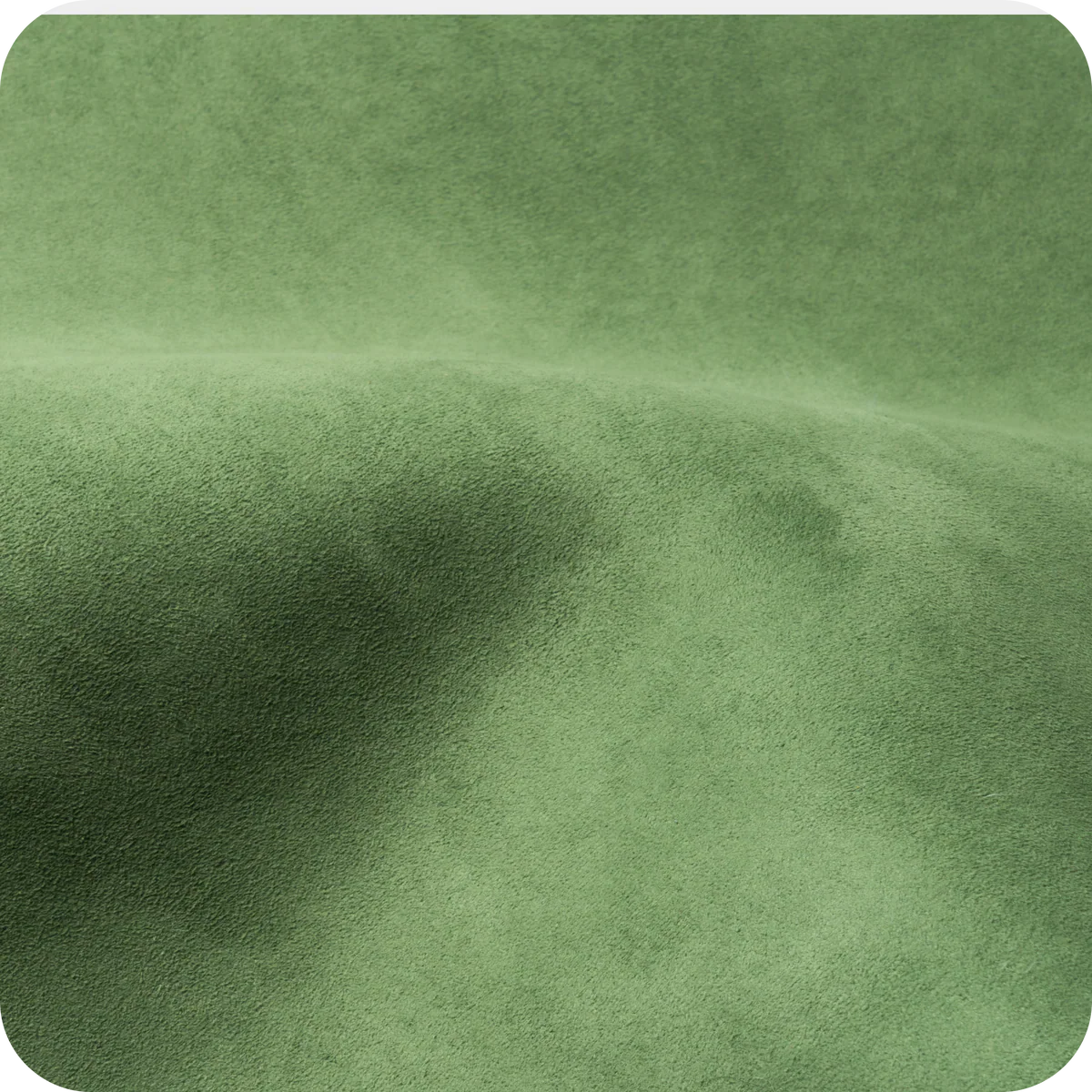 Made to Move with You